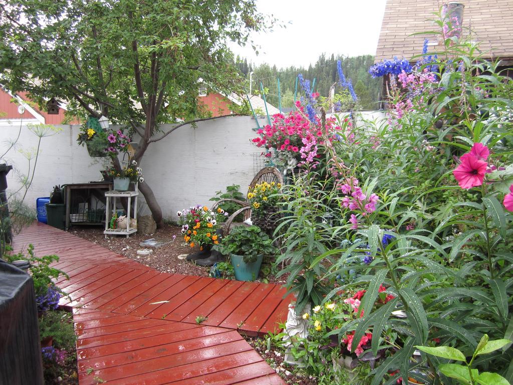 Casey'S Bed & Breakfast Whitehorse Bilik gambar
